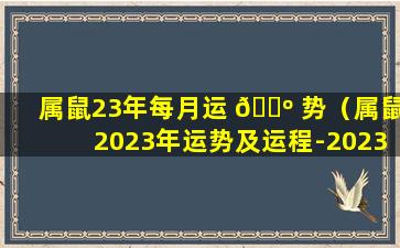 属鼠23年每月运 🐺 势（属鼠2023年运势及运程-2023年属鼠人的全年每月 🐦 运势）